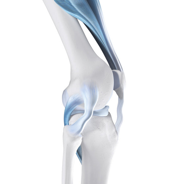 Knee Instability - Bauerfeind United Kingdom